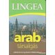 Arab társalgás - szótárral és nyelvtani áttekintéssel