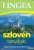 Szlovén társalgás - szótárral és nyelvtani áttekintéssel