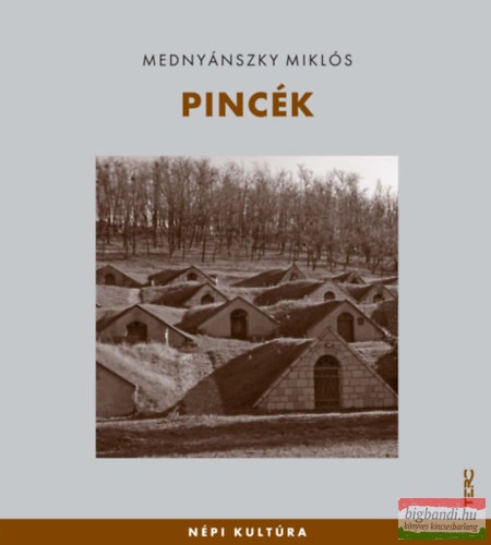 Mednyánszky Miklós - Pincék 