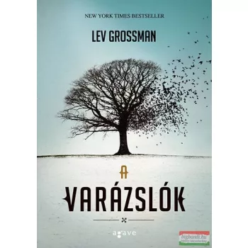 Lev Grossman - A varázslók 