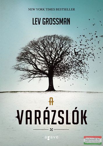 Lev Grossman - A varázslók 