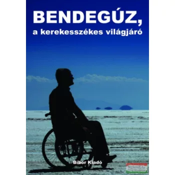 Nagy Bendegúz - Bendegúz, ​a kerekesszékes világjáró