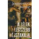 Jászberényi Sándor - A lélek legszebb éjszakája