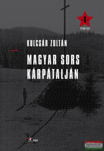 Kulcsár Zoltán - Magyar sors Kárpátalján
