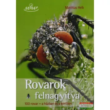 Matthias Helb - Rovarok felnagyítva