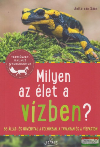 Anita van Saan - Milyen az élet a vízben?