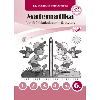 Matematika felmérő feladatlapok 6. osztály - PD-508