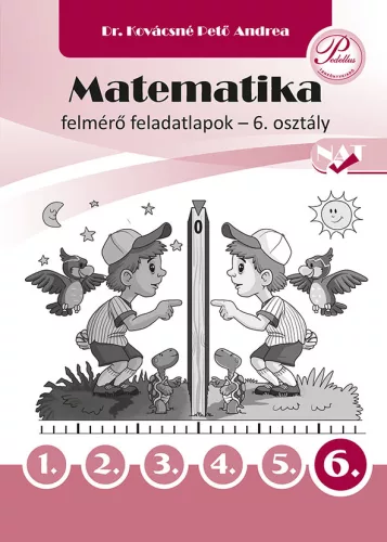 Matematika felmérő feladatlapok 6. osztály - PD-508