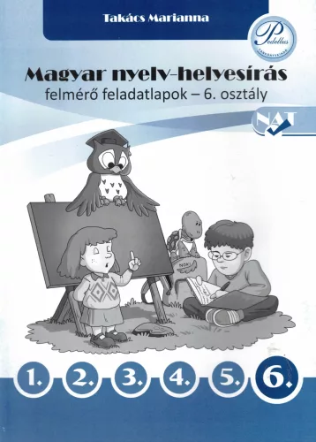 Magyar nyelv-helyesírás felmérő feladatlapok 6. osztály - PD-510