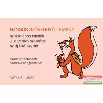   Hangos szöveggyűjtemény az általános iskolák 1. osztálya számára az új NAT szerint (pendrive könyvek)