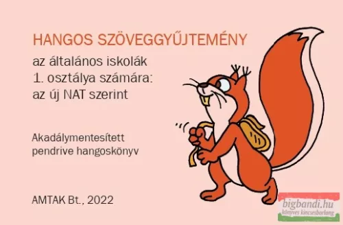 Hangos szöveggyűjtemény az általános iskolák 1. osztálya számára az új NAT szerint (pendrive könyvek)