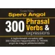 Szalai Nóra - 5 Perc Angol Tanulókártyák – 300 Phrasal Verbs & Expressions kártyacsomag
