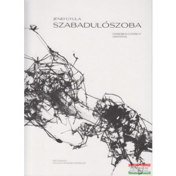 Jenei Gyula - Szabadulószoba