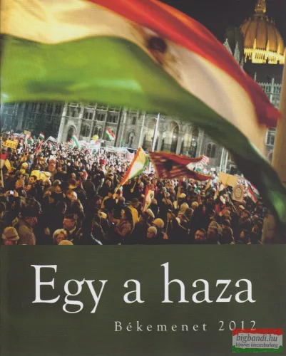 Bayer Zsolt - Egy a haza - Békemenet 2012