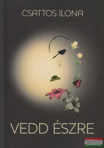 Csattos Ilona - Vedd észre