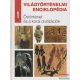 Világtörténelmi enciklopédia 1. - Őstörténet és a korai civilizációk 