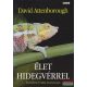 David Attenborough - Élet hidegvérrel - A kétéltűek és hüllők természetrajza