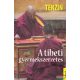 Tenzin - A tibeti gyermekszerzetes