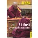Tenzin - A tibeti gyermekszerzetes
