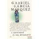 Gabriel García Márquez - A szerelemről és más démonokról