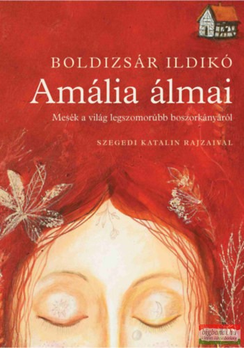 Boldizsár Ildikó - Amália álmai - Mesék a világ legszomorúbb boszorkányáról