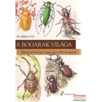   Dr. Merkl Ottó - A bogarak világa - Magyarország leggyakoribb bogarai 