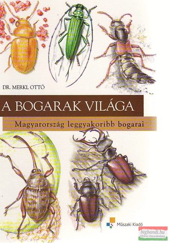 Dr. Merkl Ottó - A bogarak világa - Magyarország leggyakoribb bogarai 