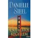 Danielle Steel - Csodálatos kegyelem