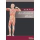 Dr. Donáth Tibor - Anatómiai atlasz 