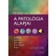 Robbins, Kumar - A patológia alapjai
