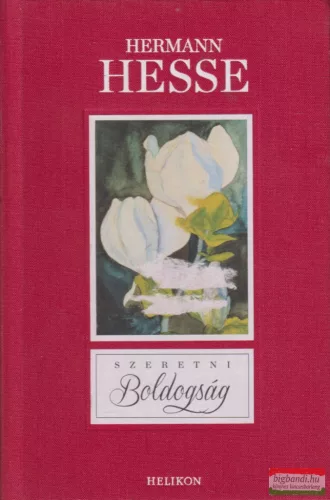 Hermann Hesse - Szeretni boldogság