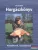 Hans Eiber - Horgászkönyv - Kezdőknek, haladóknak