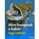 Henning Stilke - Mire harapnak a halak? - Nagy csalikönyv 