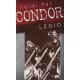 Földi Pál - Condor Légió