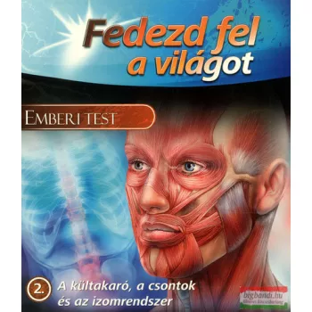 Emberi test - A kültakaró, a csontok és az izomrendszer
