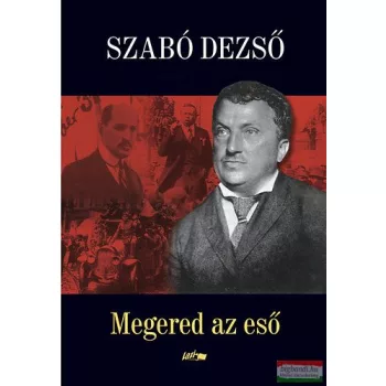 Szabó Dezső - Megered az eső 