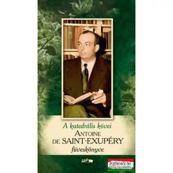 Antoine de Saint-Exupéry - A katedrális kövei