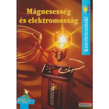 Ulrike Berger - Mágnesesség és elektromosság
