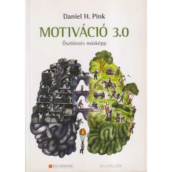 Daniel H. Pink - Motiváció 3.0