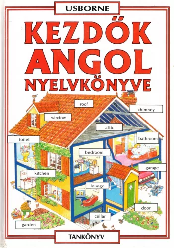 Helen Davies-Francoise Holmes - Kezdők angol nyelvkönyve