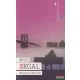 Erich Segal - Szerelmi történet