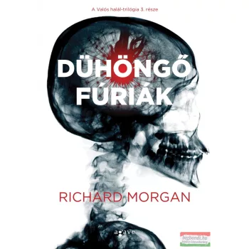 Richard Morgan - Dühöngő fúriák