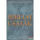 Chaim Herzog - Bibliai csaták