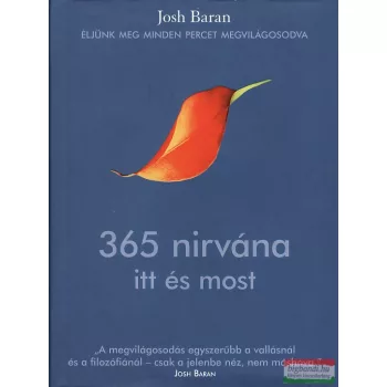 Josh Baran - 365 nirvána itt és most