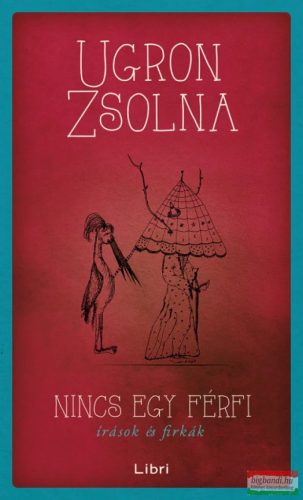 Ugron Zsolna - Nincs egy férfi - Írások és firkák