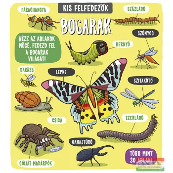 Kis felfedezők - Bogarak 