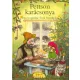 Sven Nordqvist - Pettson karácsonya