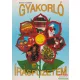 Bencs Vilmosné - Gyakorló írásfüzetem - AP-030202