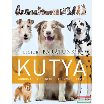 Legjobb barátunk, a kutya 