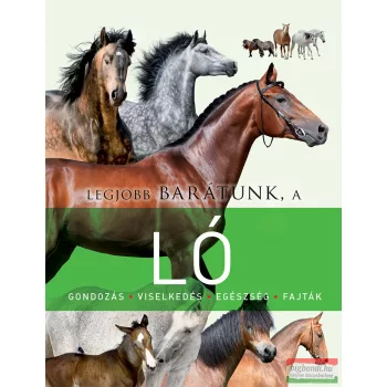 Legjobb barátunk, a ló 